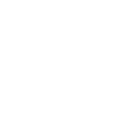 protection-system