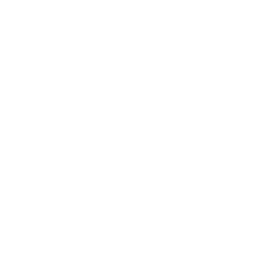 prototype